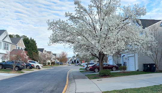 Morrisville, NC