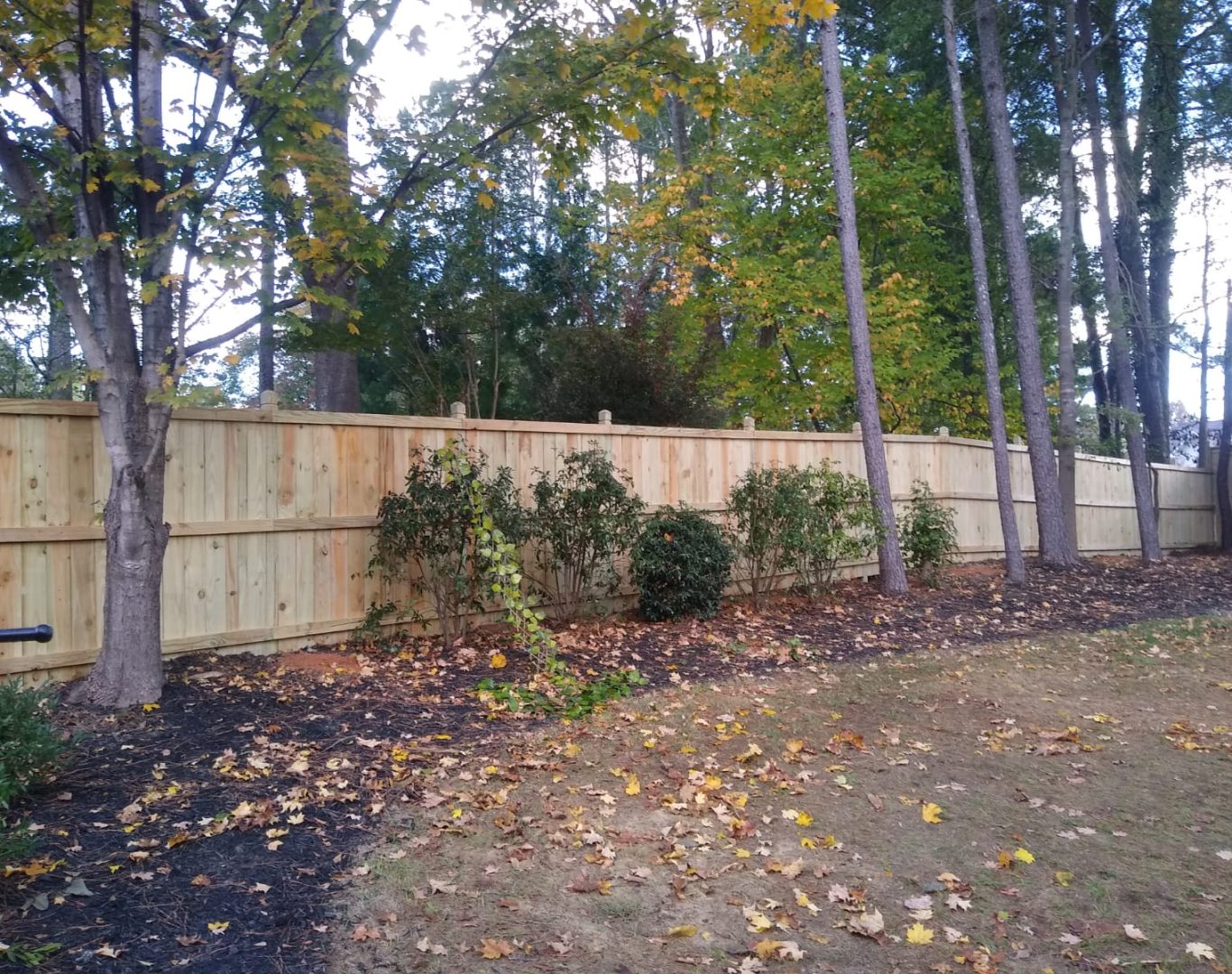 Technician repairing a wooden fence panel in Raleigh backyard